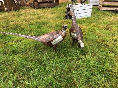 1 x Standing Pheasant